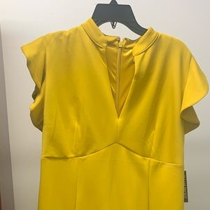 New York and Company ruffle sleeve dress
